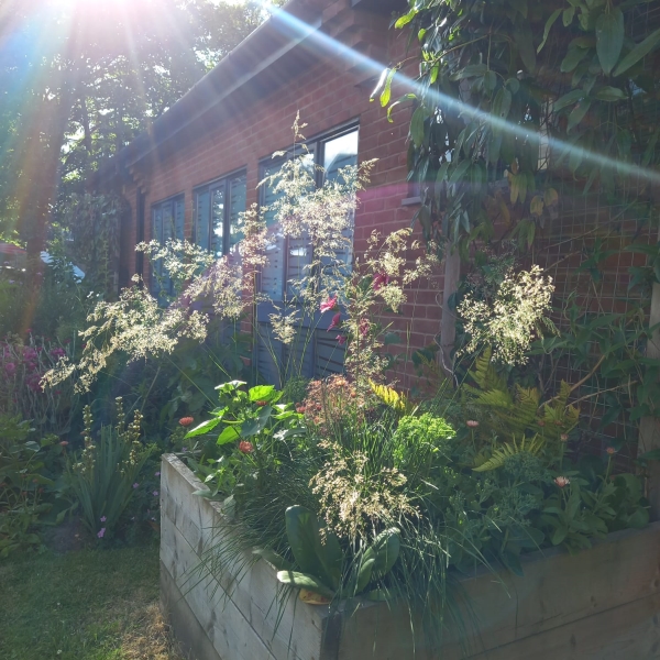 Kenilworth Community Gardens